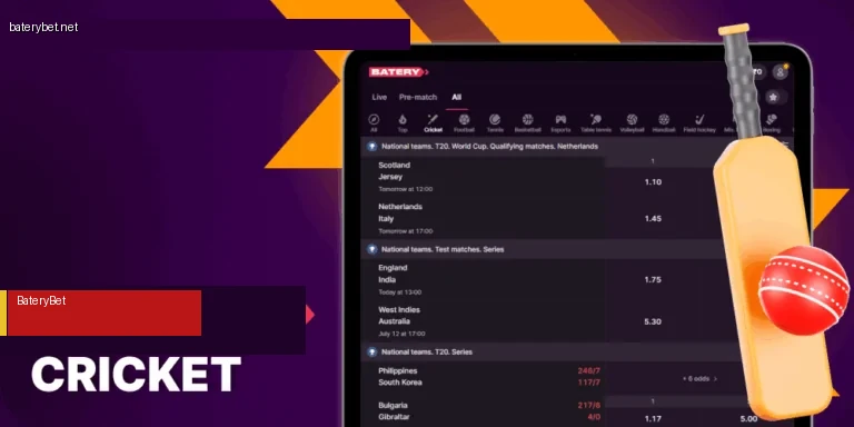 Cricket betting India – IPL, World Cup odds at BateryBet